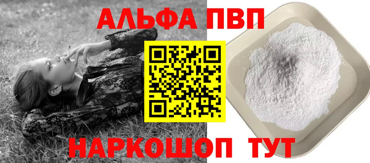 Альфа ПВП СК Аргун