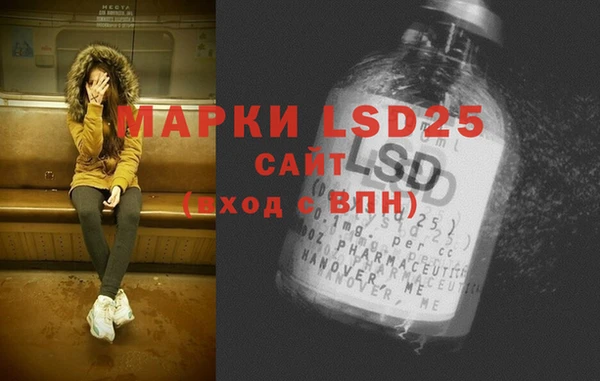 PSILOCYBIN Александровское
