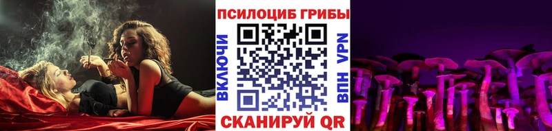 blacksprut онион  Аргун  сайты даркнета официальный сайт  Галлюциногенные грибы ЛСД 