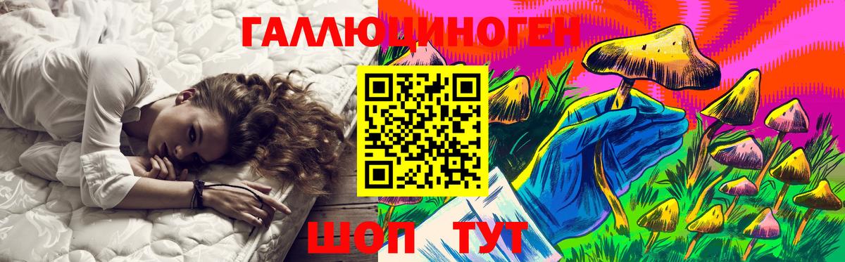 Галлюциногенные грибы Psilocybe Аргун