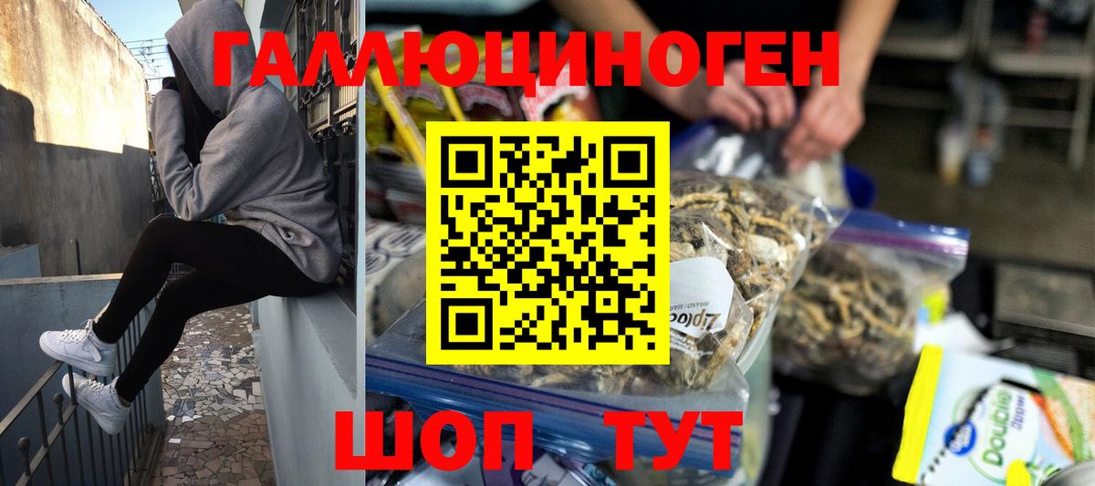 Псилоцибиновые грибы ЛСД  где купить наркоту  Галлюциногенные грибы Cubensis  Аргун 