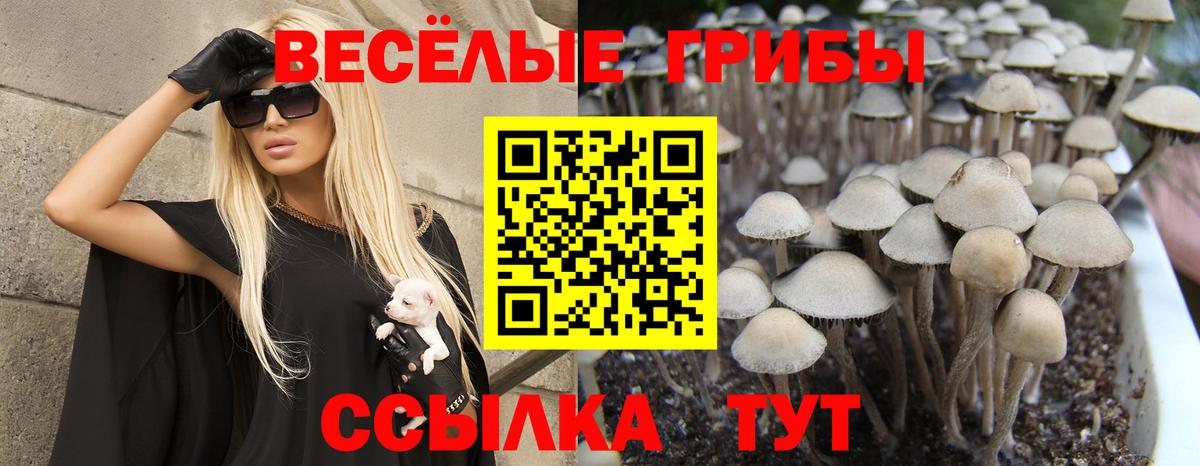 Псилоцибиновые грибы мухоморы  Галлюциногенные грибы Psilocybine cubensis  Аргун  даркнет сайт  Вход с VPN 