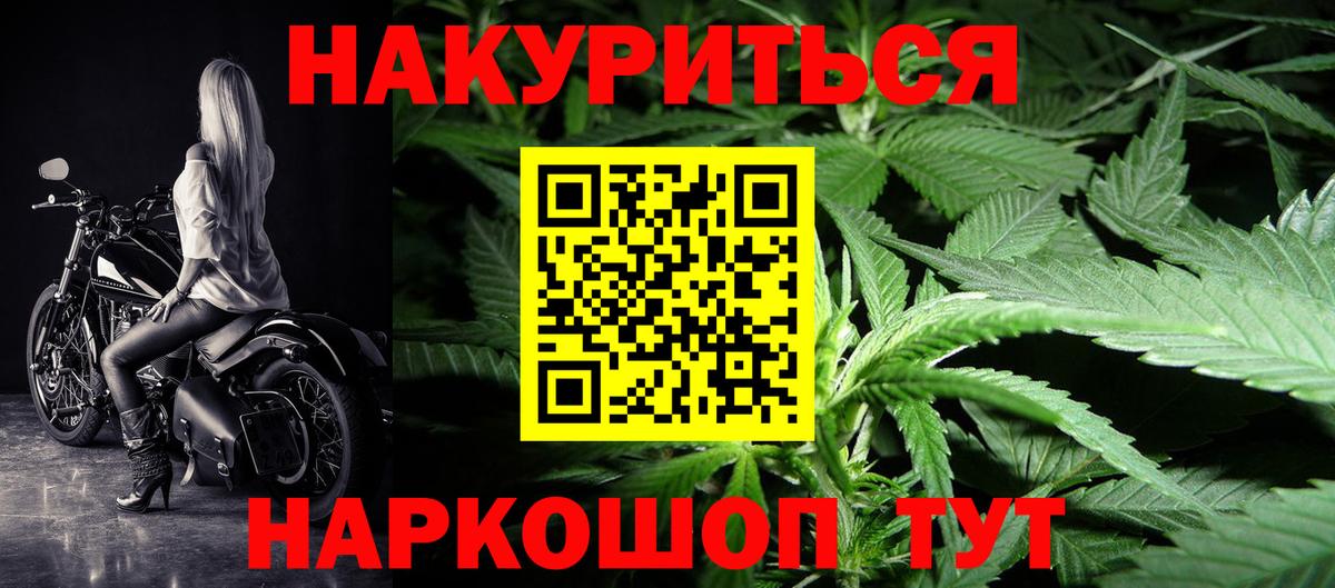 Бошки Шишки конопля Аргун